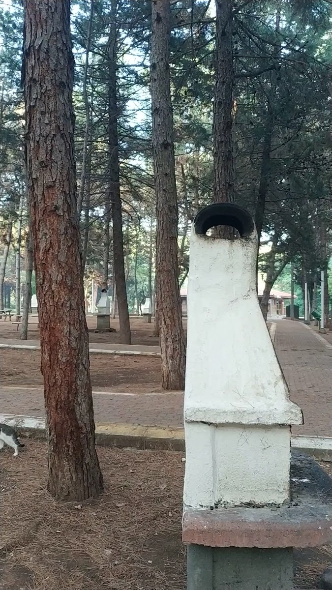 Huzur Park — fotoğraf 3