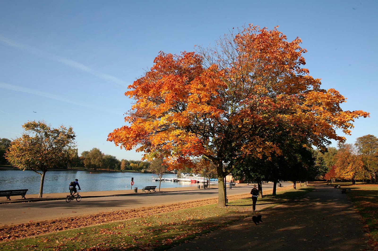 Hyde Park — photo 6