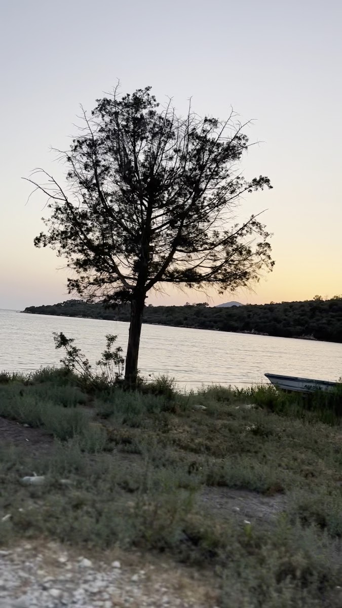 İasos — fotoğraf 3