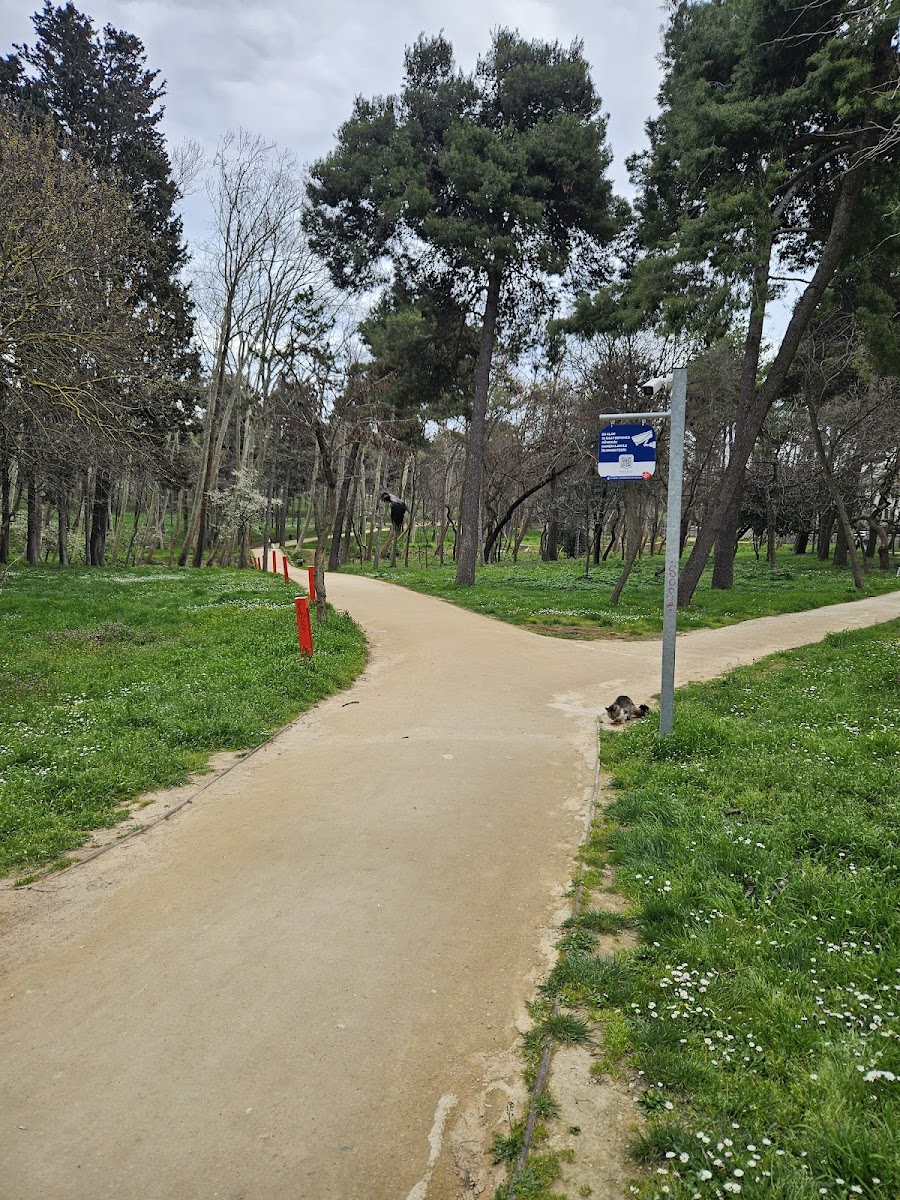 İBB Florya Atatürk Ormanı — fotoğraf 2
