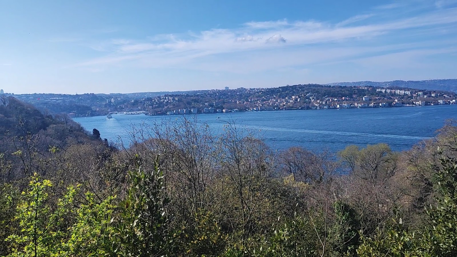 İBB Hidiv Kasrı Korusu — fotoğraf 3