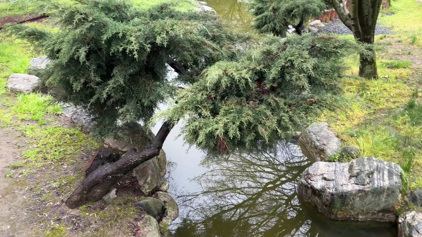 İBB Japon Bahçesi Parkı — fotoğraf 2