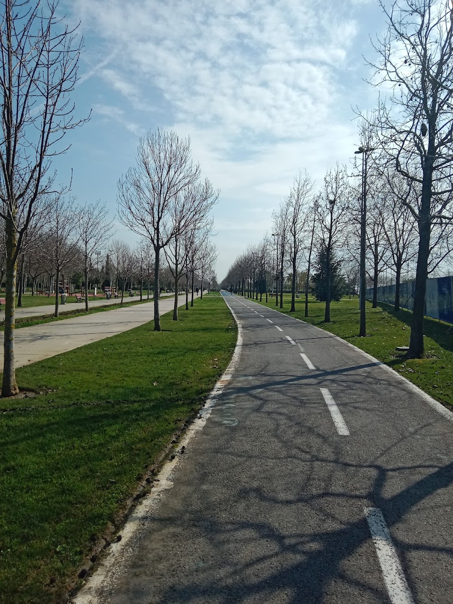 İBB Orhangazi Şehir Parkı — fotoğraf 2