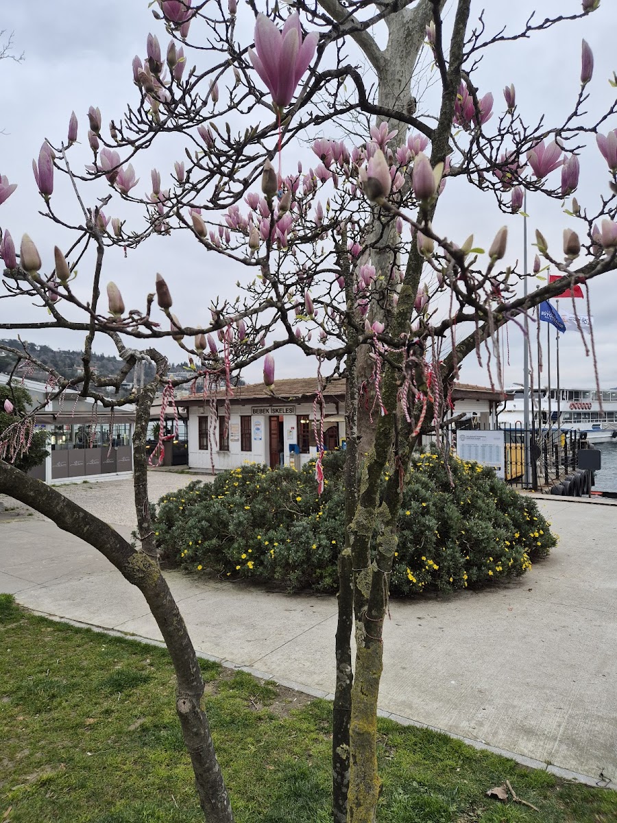 İBB Türkan Sabancı Bebek Parkı — fotoğraf 2