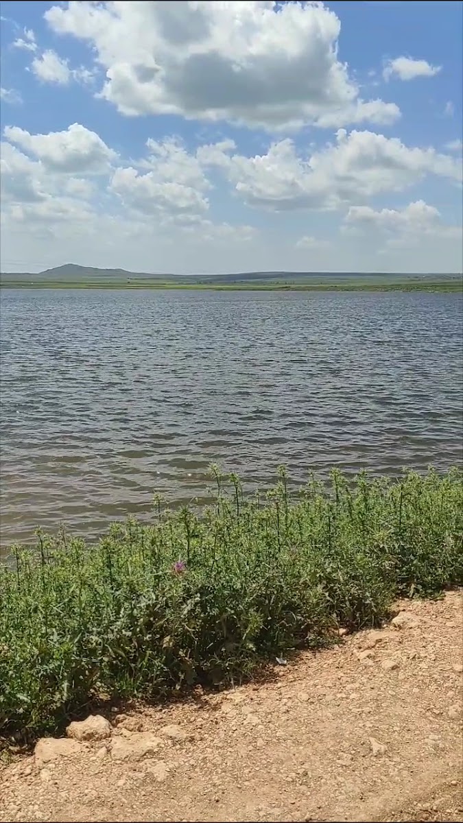 İdil Baraj Gölü — fotoğraf 3