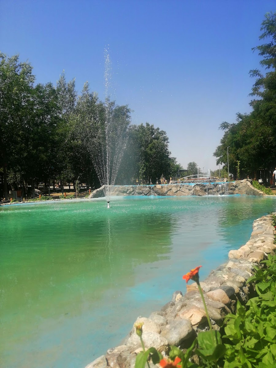 Iğdır Barosu Hatıra Ormanı — fotoğraf 1
