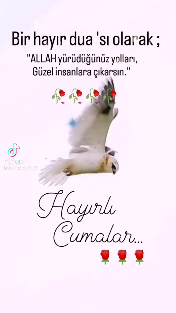 Iğdır Belediyesi — fotoğraf 3