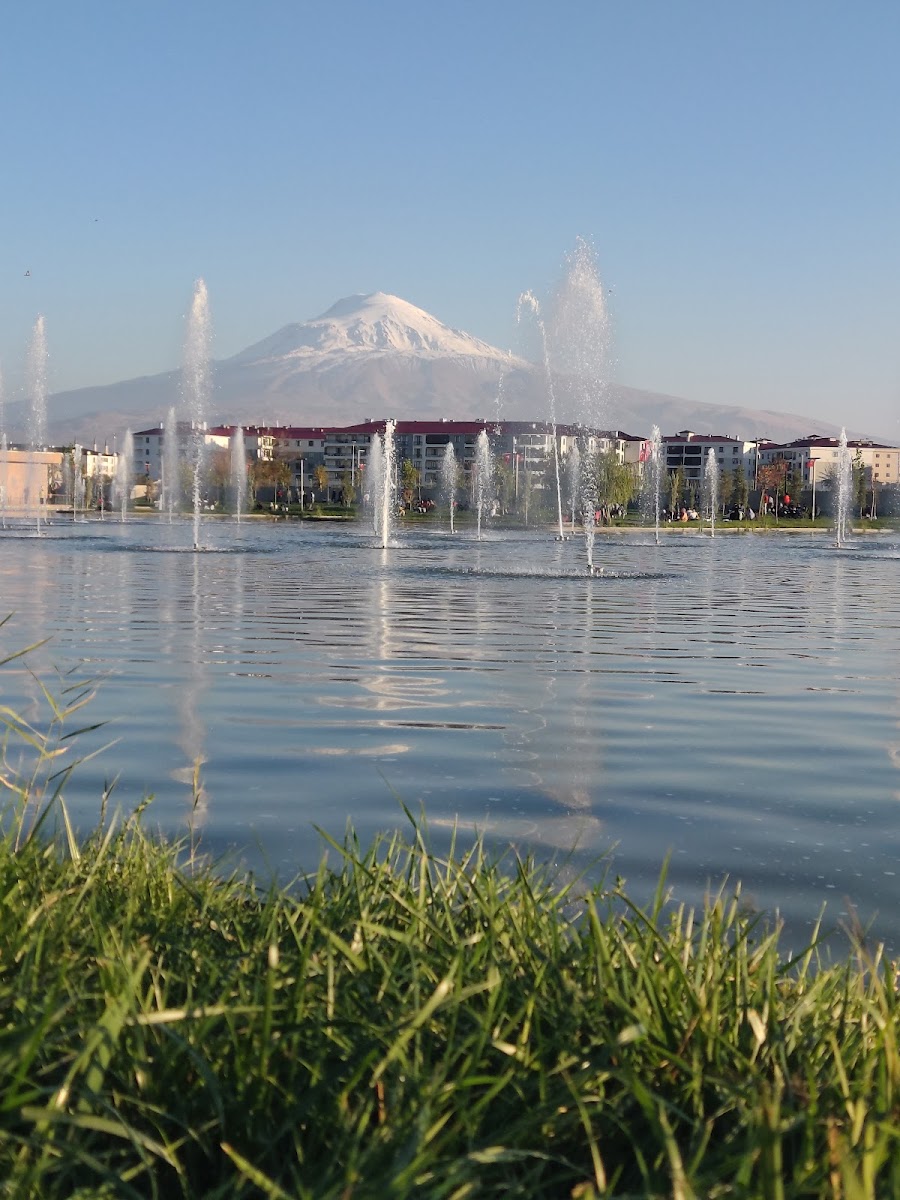 Iğdır Millet Bahçesi — fotoğraf 4