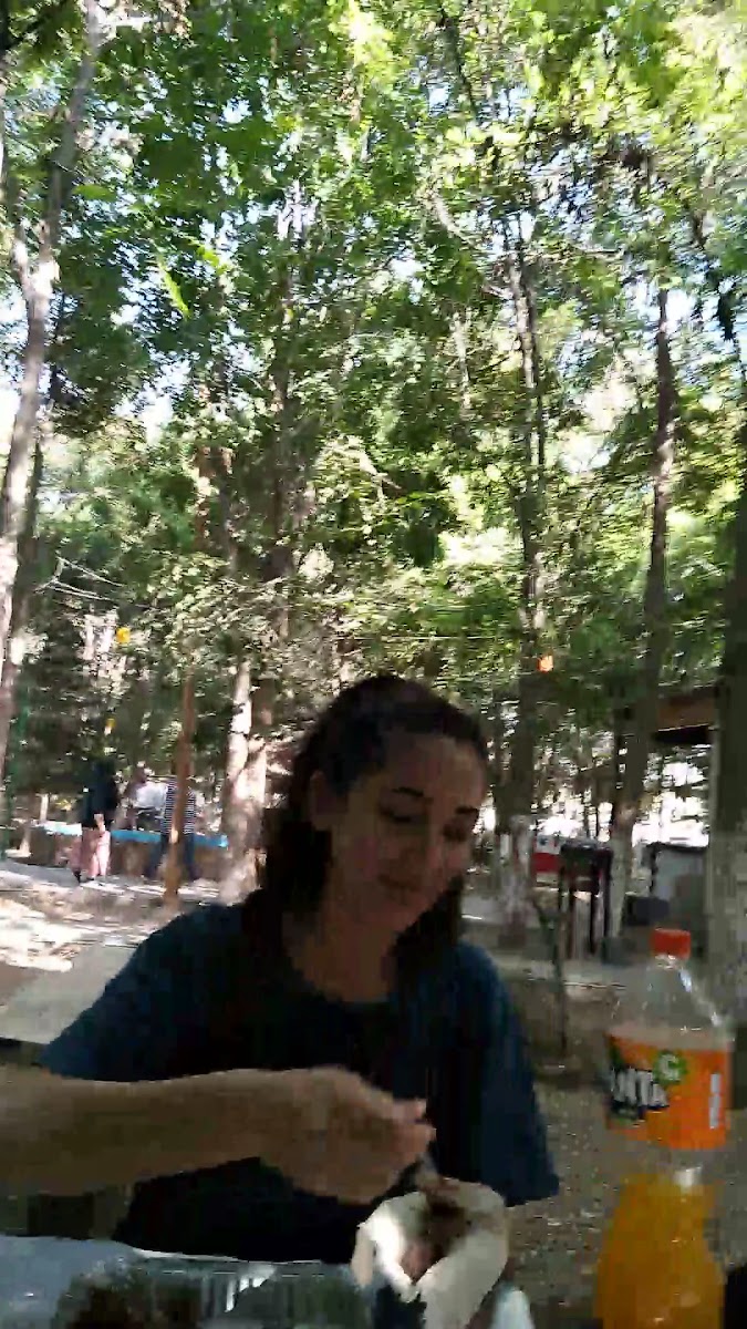 Iğdır Orman Park — fotoğraf 3