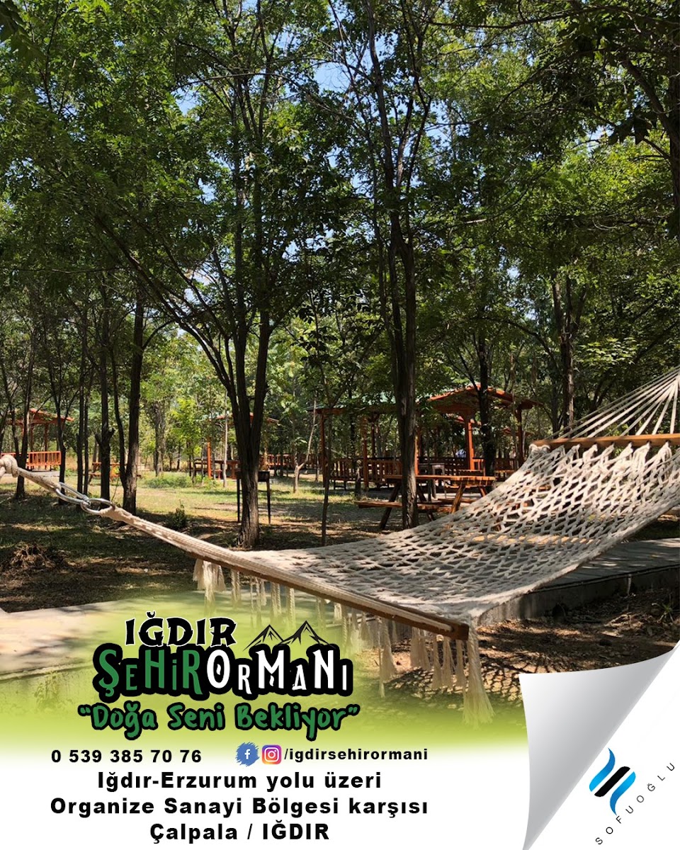 Iğdır Orman Park — fotoğraf 4