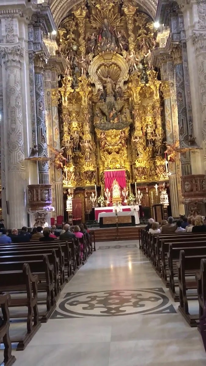 Iglesia Colegial del Divino Salvador — photo 3