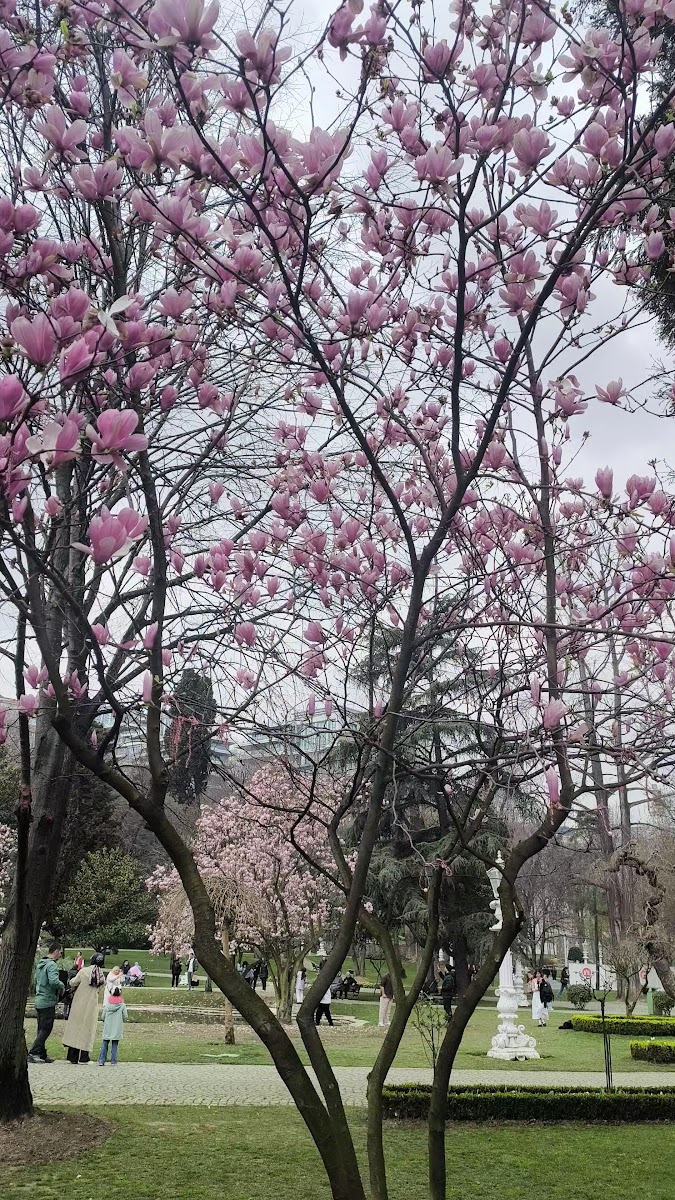 Ihlamur Kasrı — fotoğraf 2