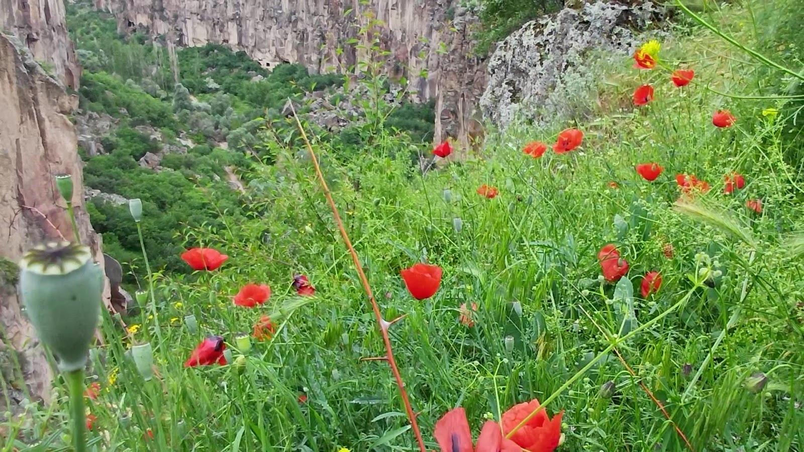 Ihlara Belediyesi Vadibaşı Sosyal Tesisleri (Ihlara Vadisi Ana Giriş) — photo 3