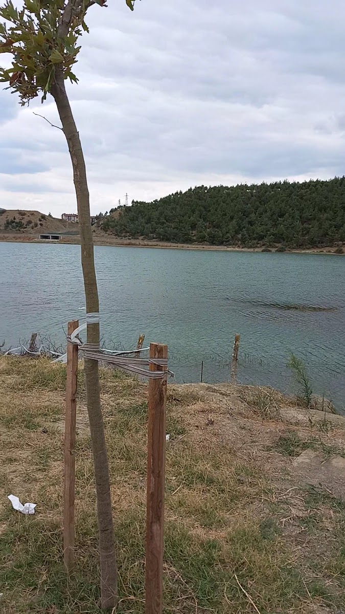 İkiz göletler — photo 6