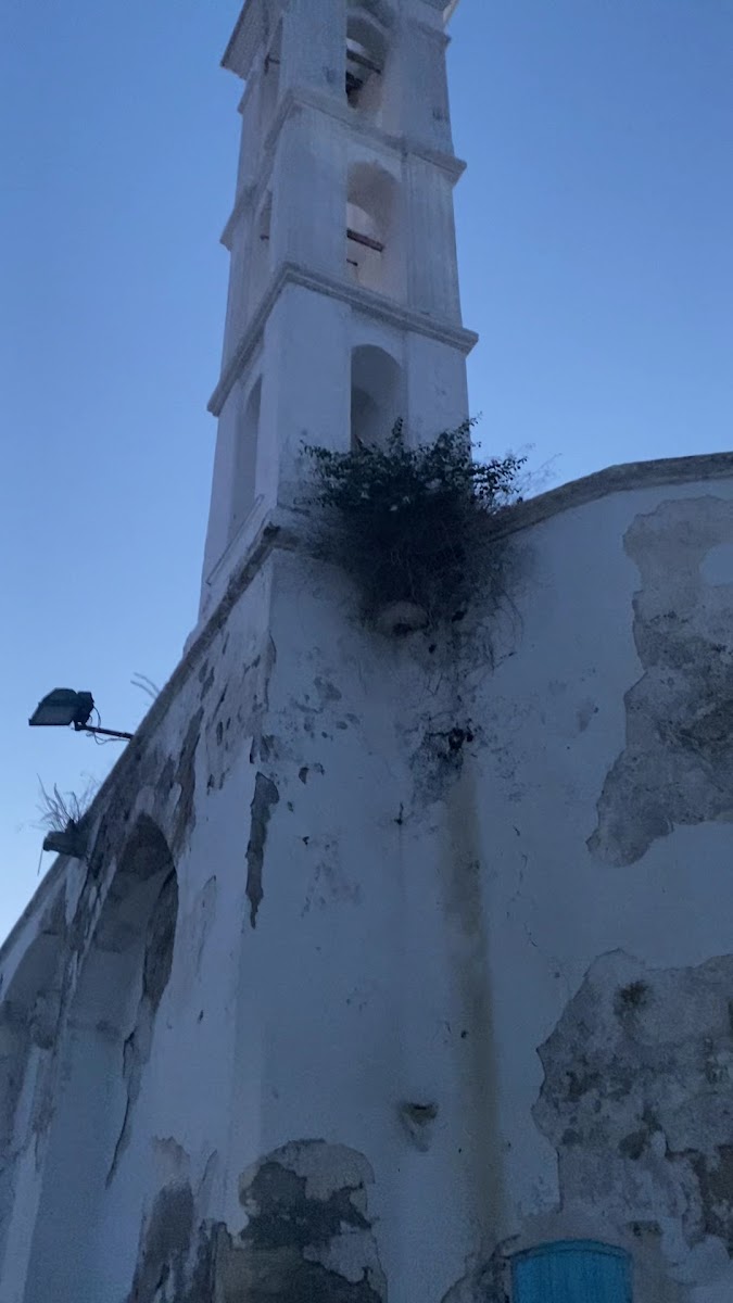 İkon Müzesi — photo 3
