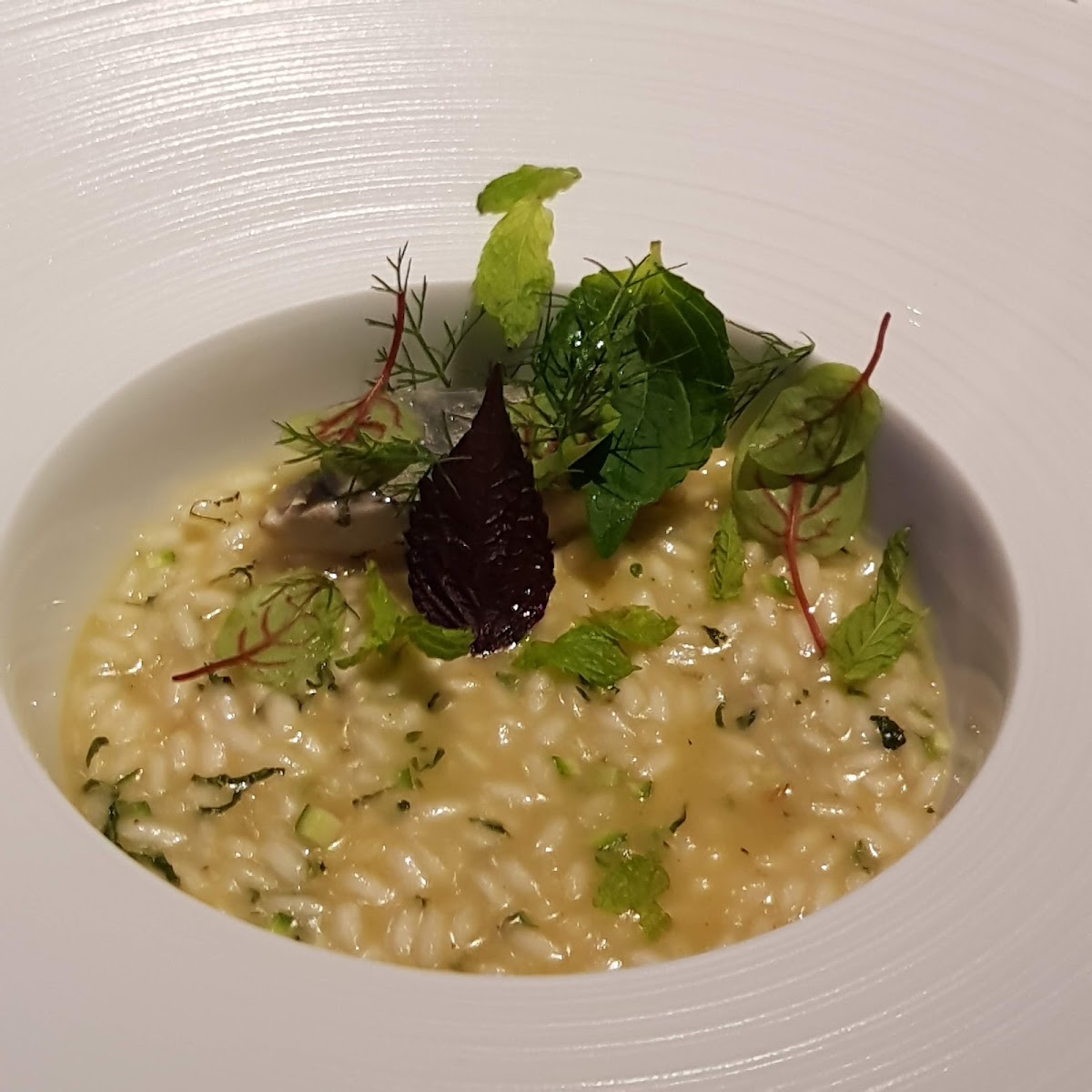 il Comandante ristorante | Romeo Hotel — photo 5