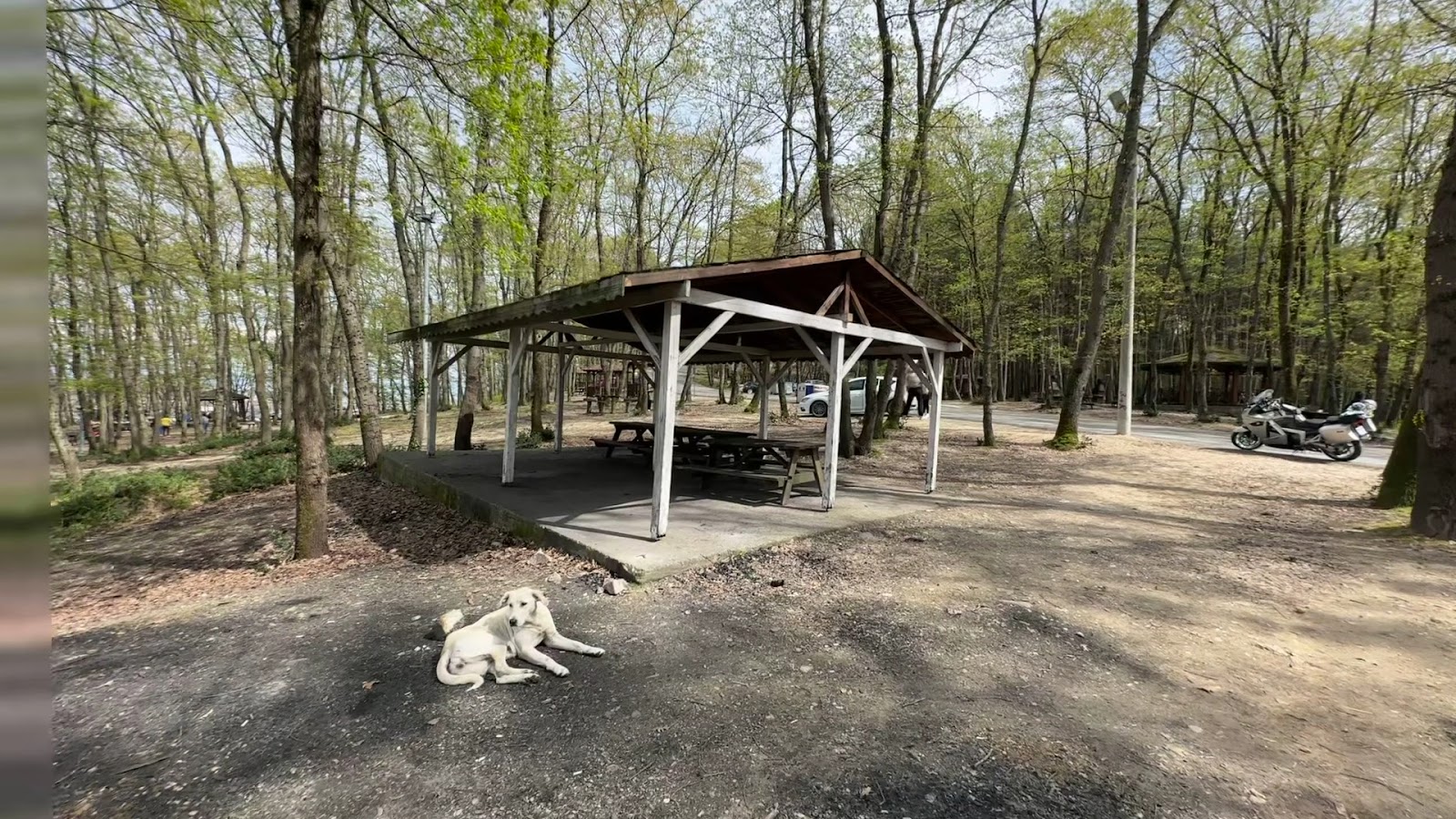 İl Orman Mesire Yeri — fotoğraf 2