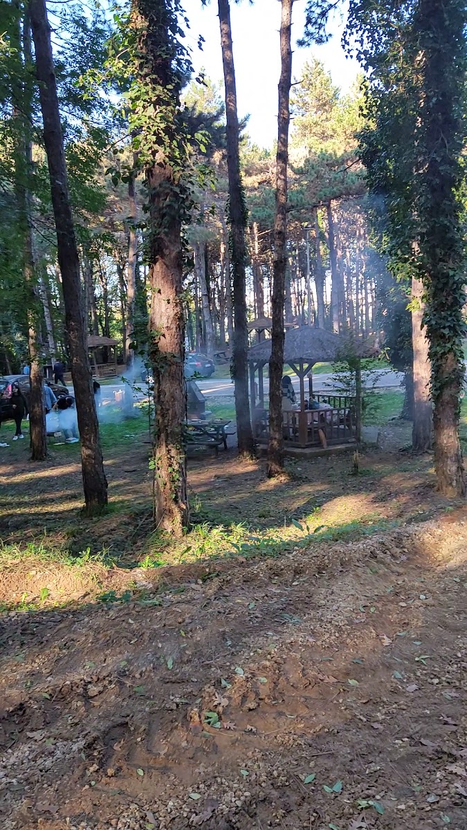 İl Orman Mesire Yeri — fotoğraf 3