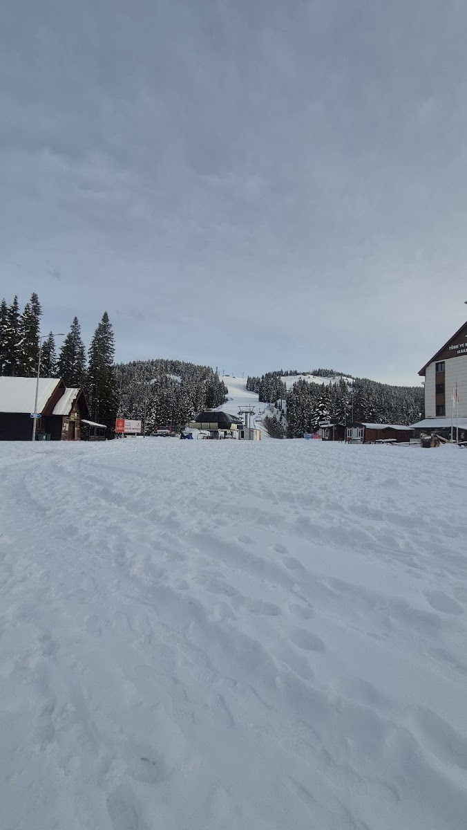 Ilgaz Dağı Milli Parkı — fotoğraf 2