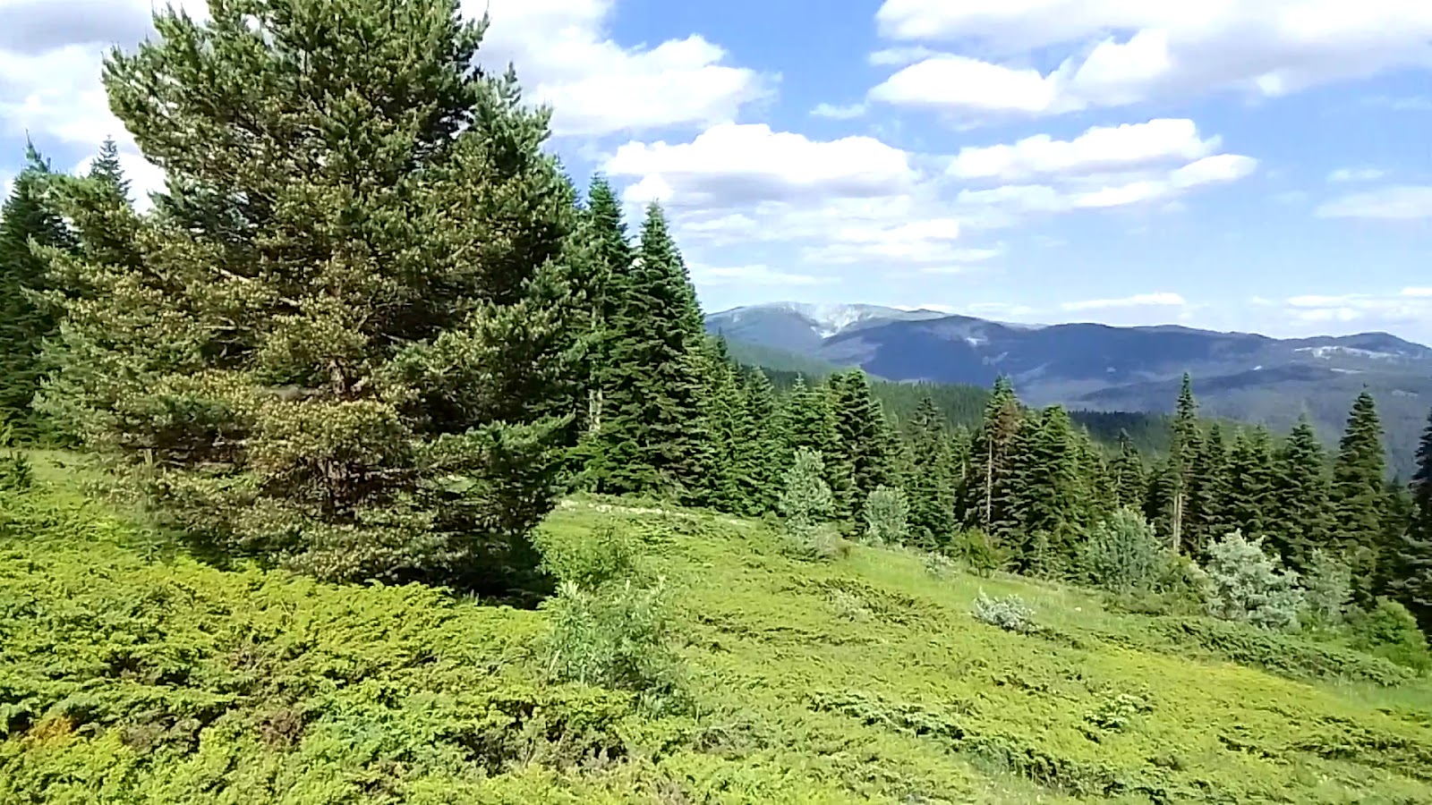 Ilgaz Dağı Milli Parkı — fotoğraf 3