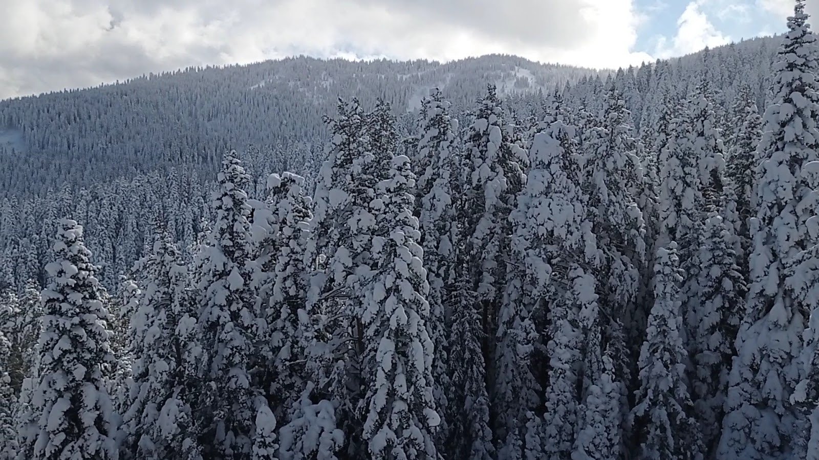 Ilgaz Mountain Resort Hotel — fotoğraf 3