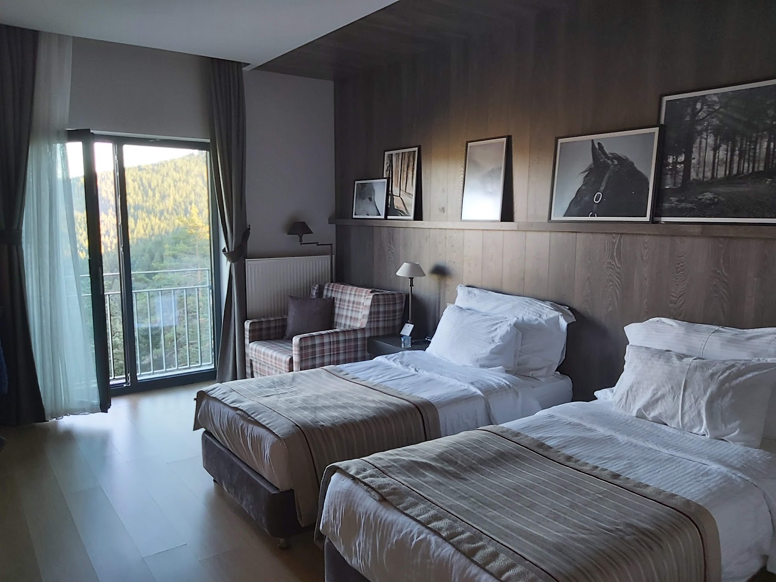 Ilgaz Mountain Resort Hotel — fotoğraf 4