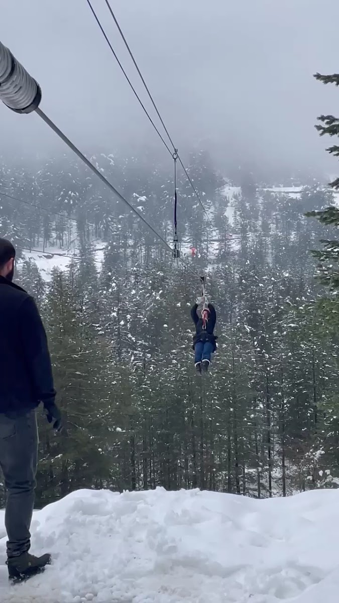 Ilgaz Zipline — fotoğraf 2
