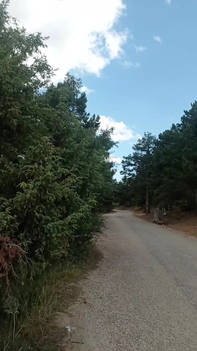 ILGIN BULCUK MESİRE ALANI — fotoğraf 3