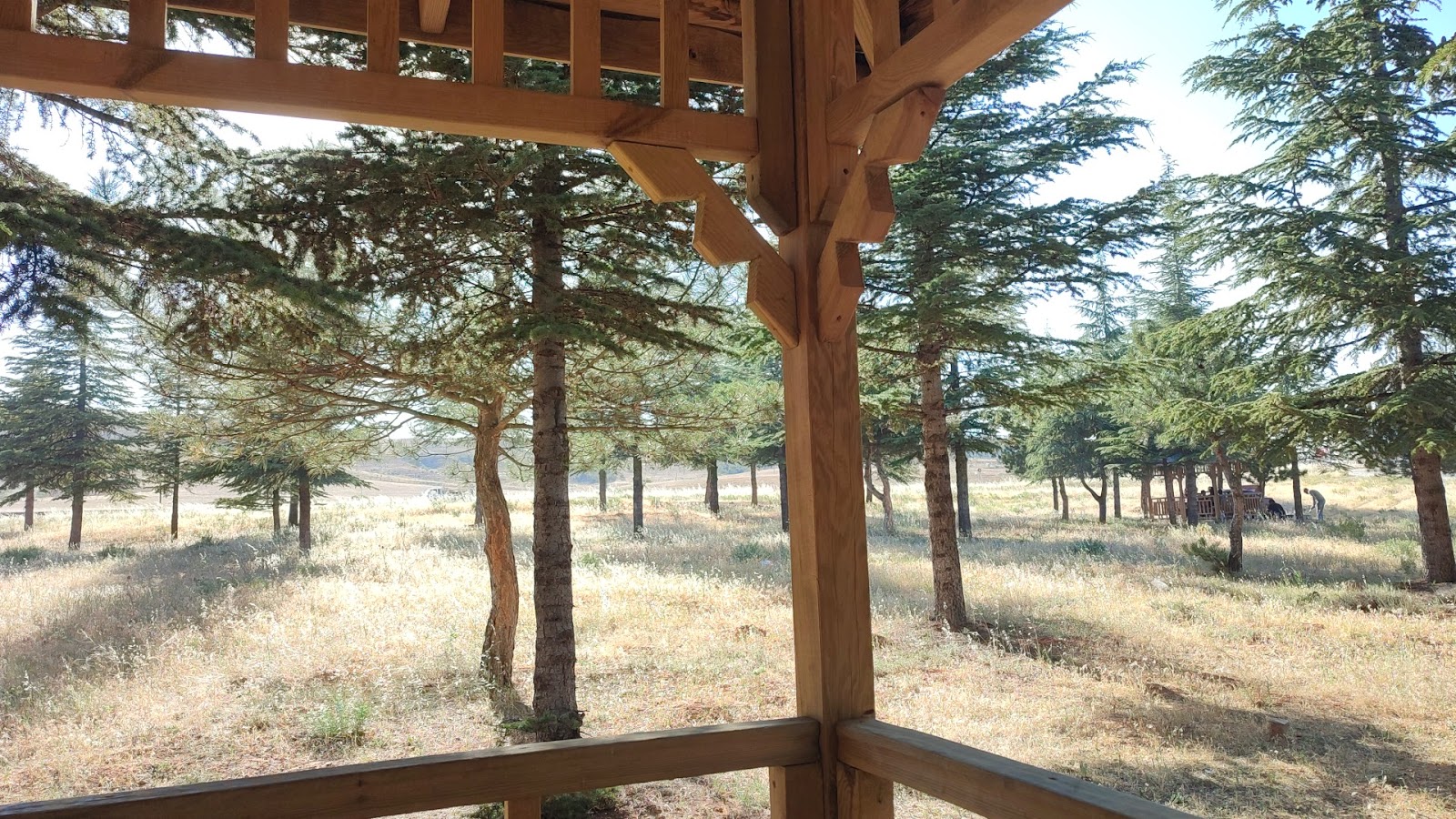 Ilgın Ekoturizm ve Mesire Alanı — fotoğraf 1