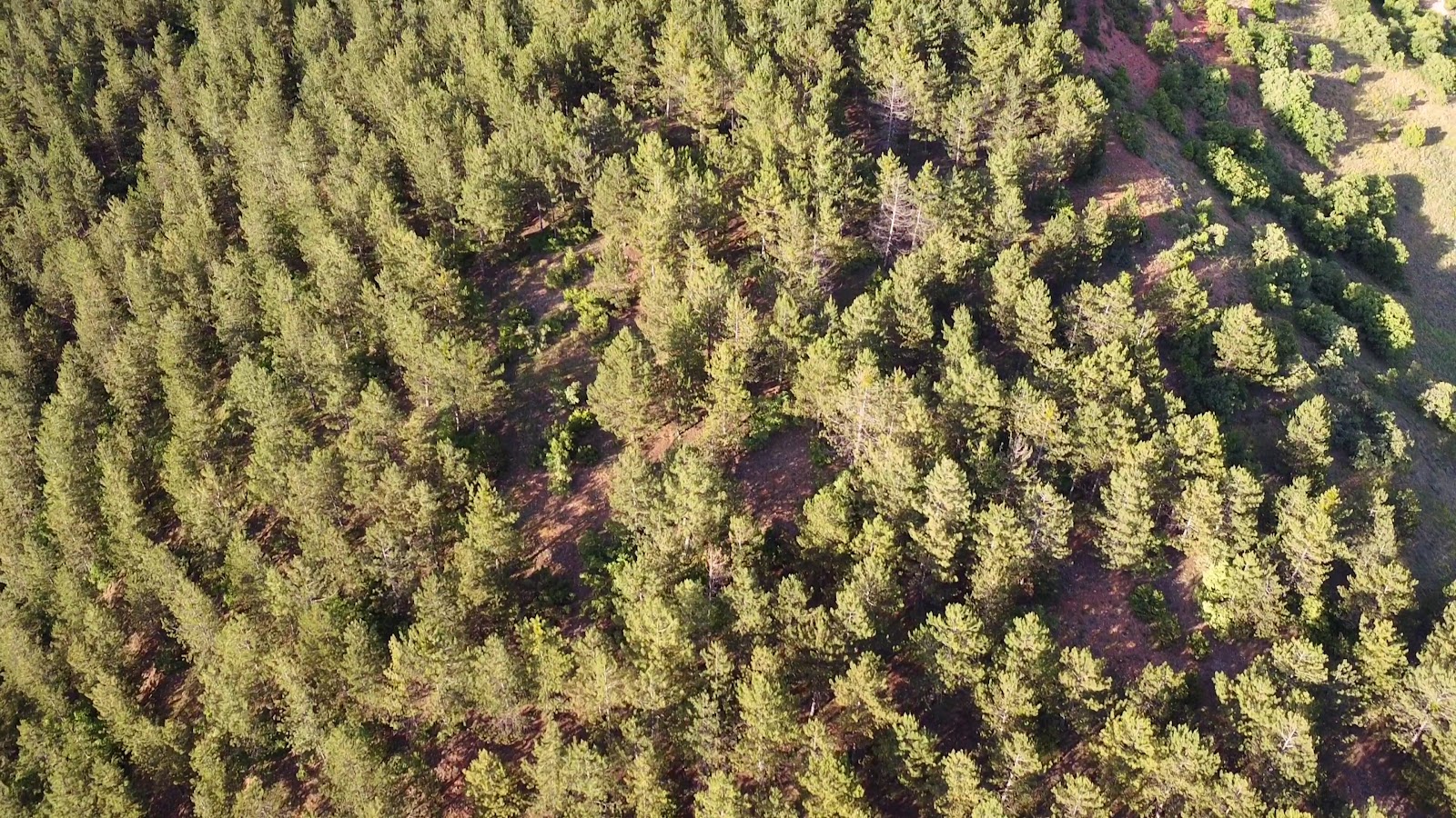 Ilıca Sarıkız Parkı — fotoğraf 2