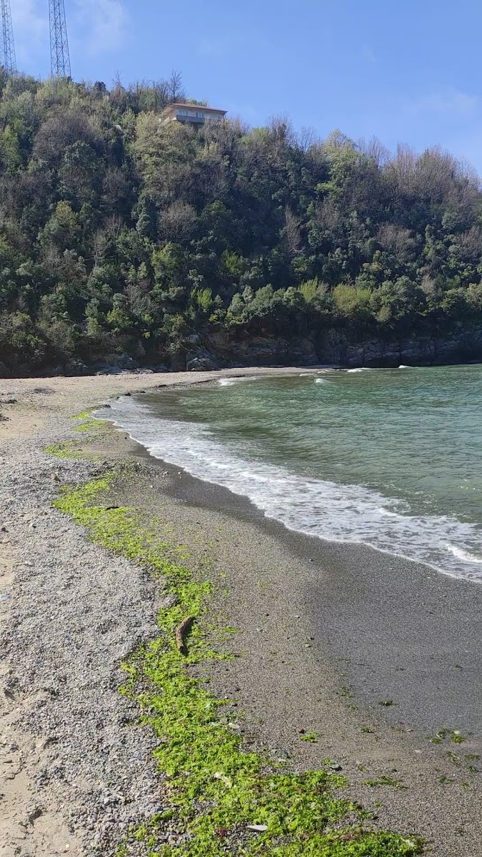 Ilıksu Plajı — fotoğraf 3