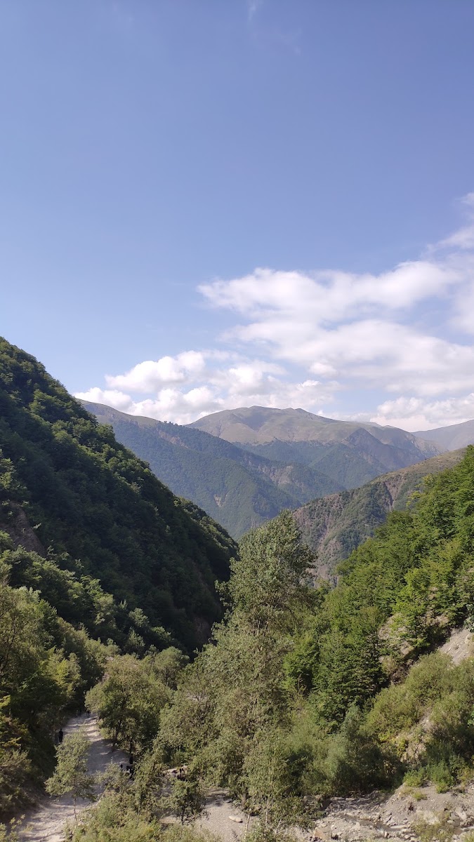 Ilisu State Reserve — photo