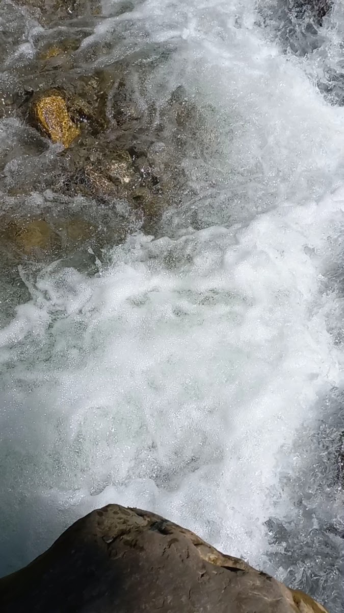 Ilisu State Reserve — photo 3