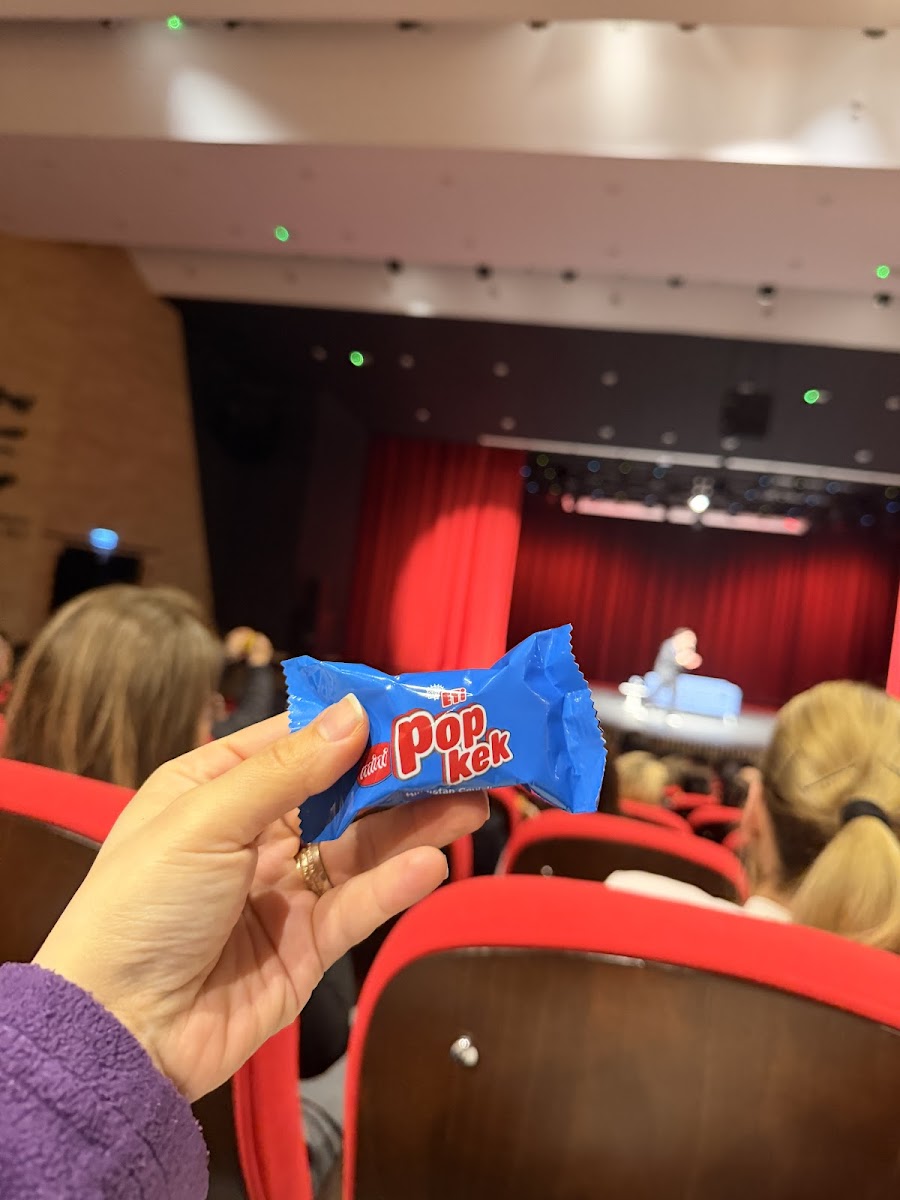 İnal Aydınoğlu Kültür Merkezi — fotoğraf 2