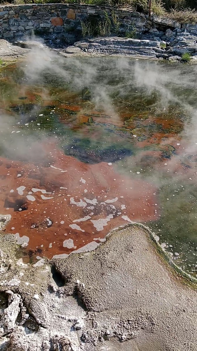 İnaltı Termal Otel — fotoğraf 3