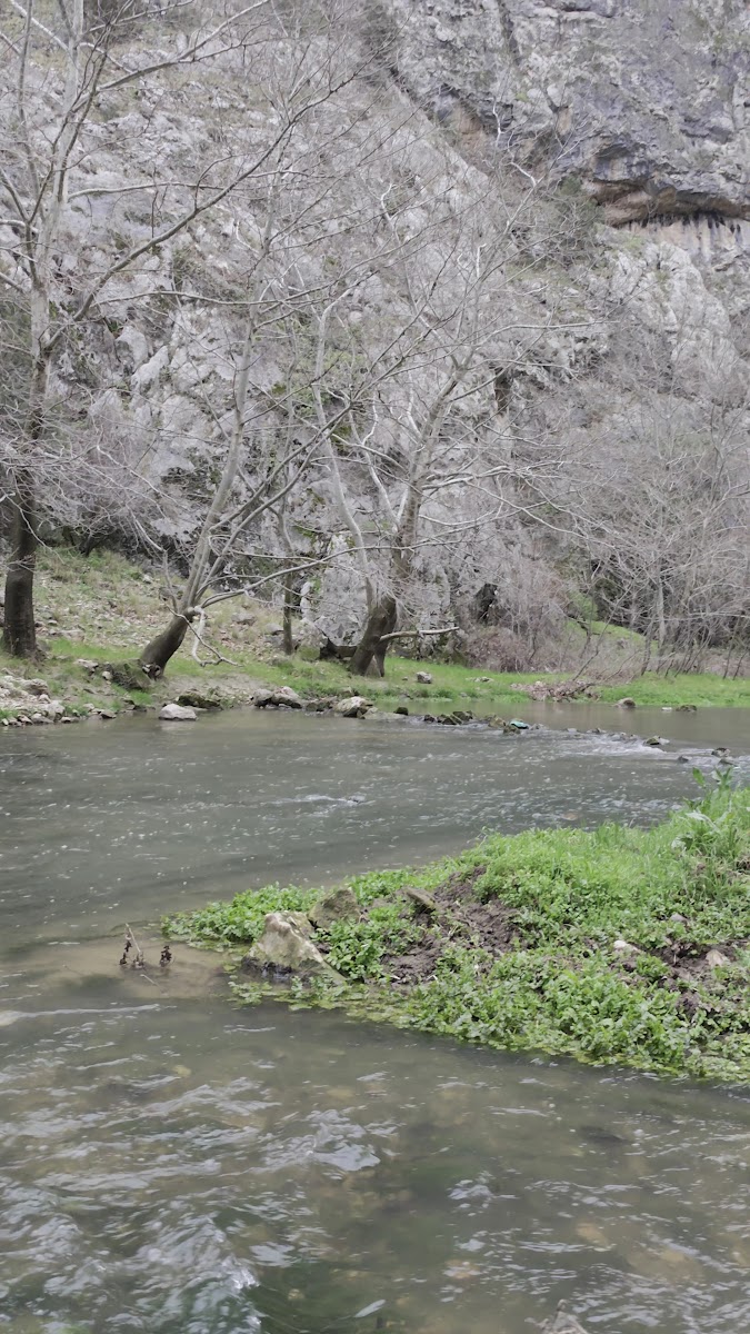 İncesu Kanyonu — fotoğraf 2