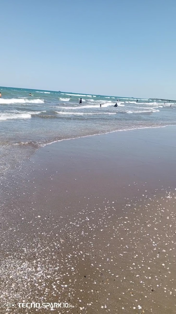 İnci Plajı — photo 3