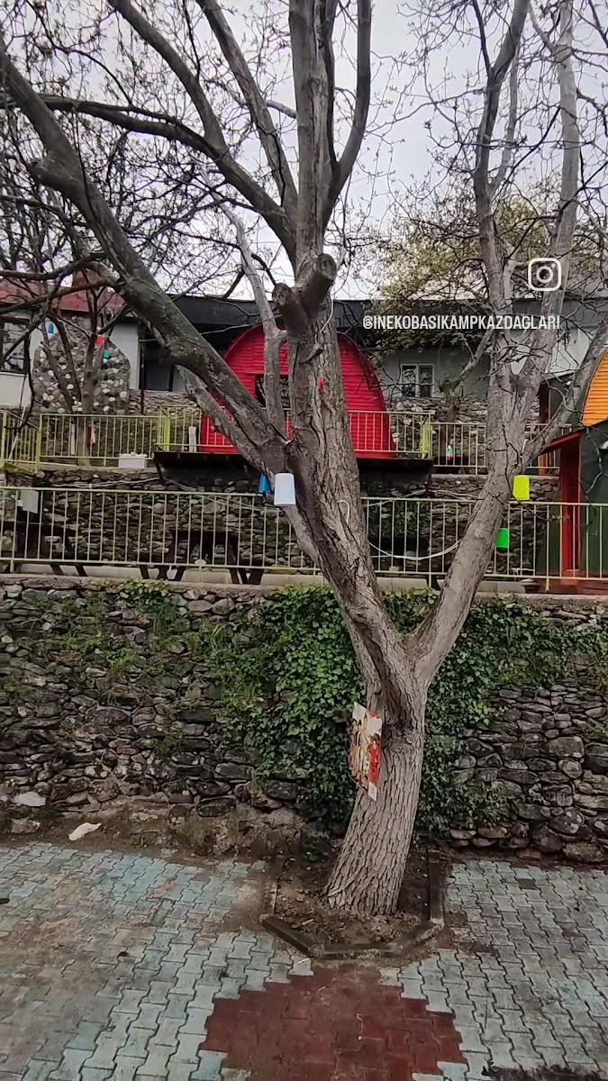 İnek Obası Bungalov Otel Kazdağları — fotoğraf 5