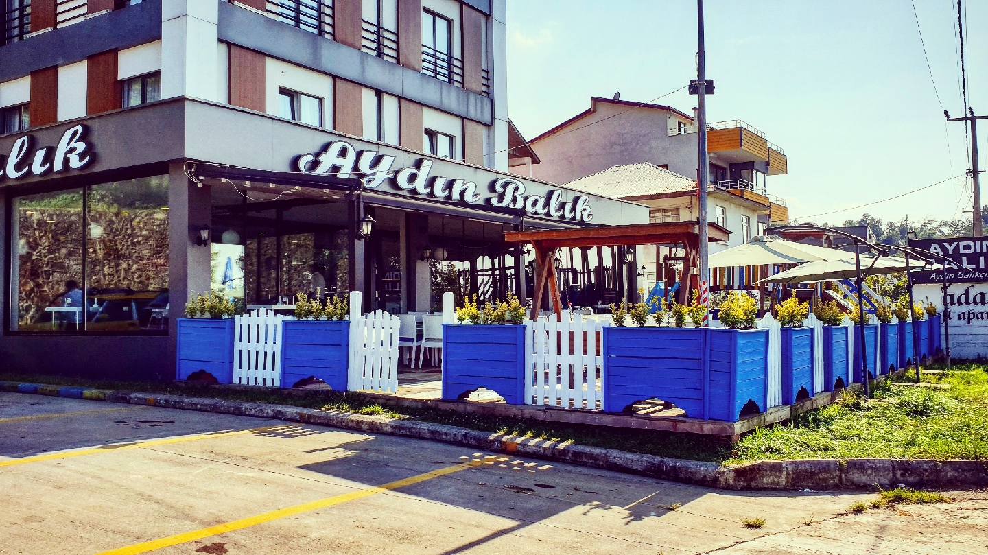 İnişdibi Balık — fotoğraf 8