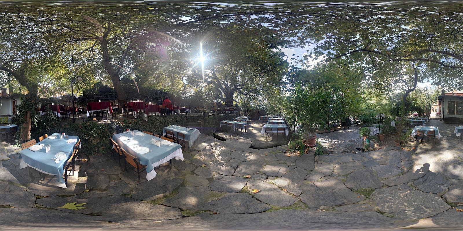 İnkaya Tarihi Çınar ağacı — fotoğraf 4