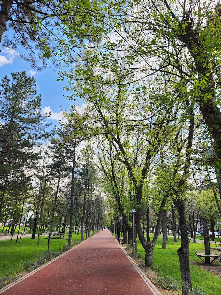 İnönü Parkı — fotoğraf
