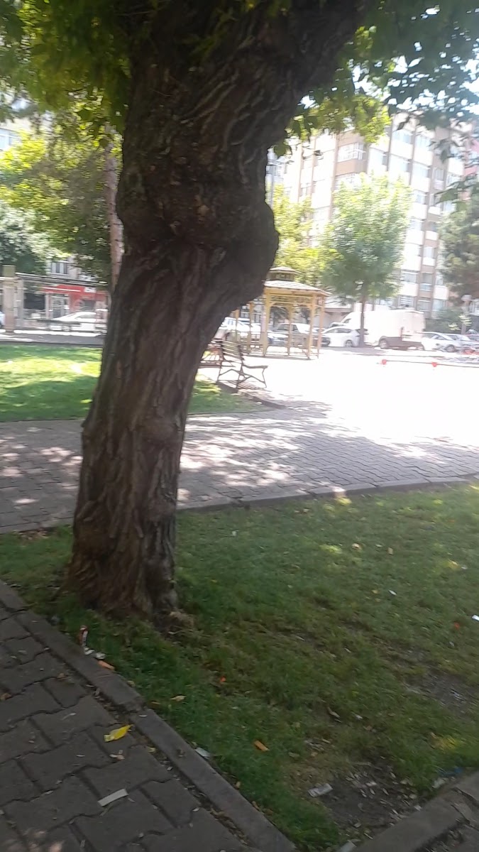 İnönü Parkı — fotoğraf 2