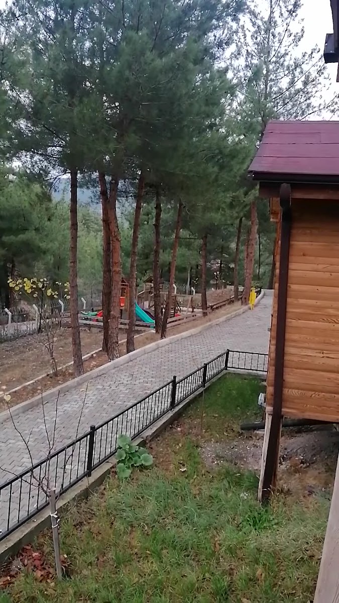 İPEKBÖCEĞİ PARK — fotoğraf 4