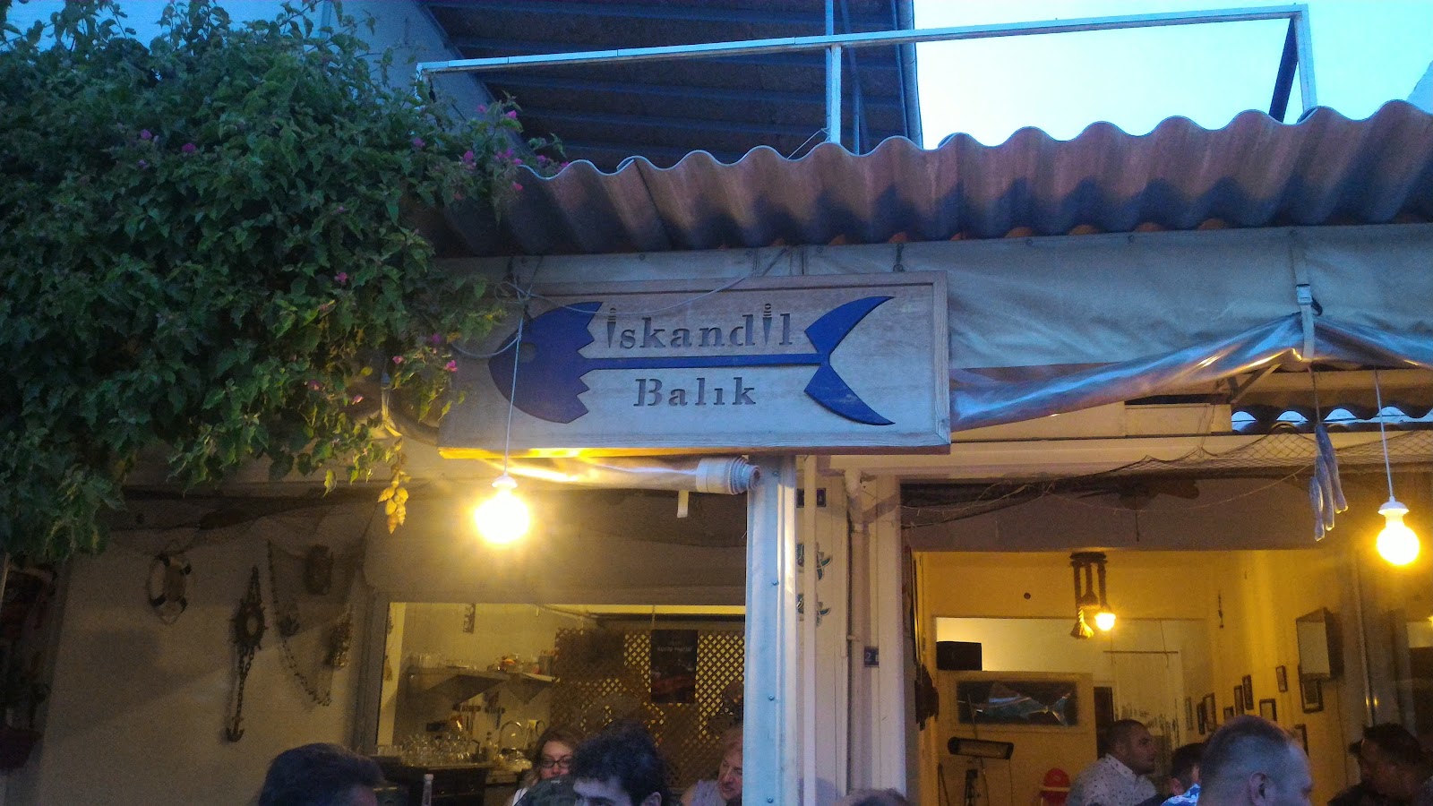 İskandil Balık — fotoğraf