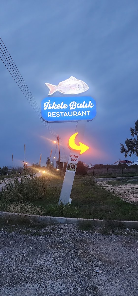 İskele Balık — photo 7