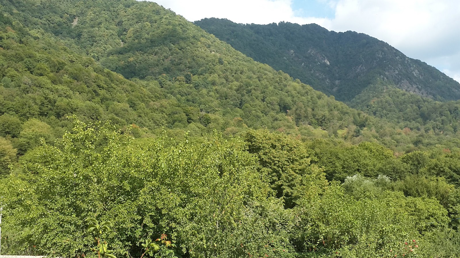 Ismailli State Reserve — photo