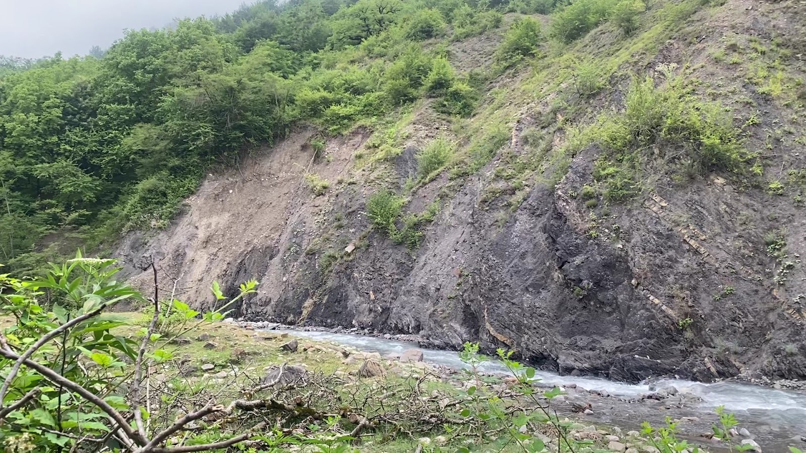 Ismailli State Reserve — photo 2