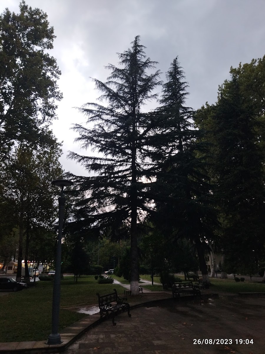 İsmayıllı Rayon mərkəzi parkı — photo