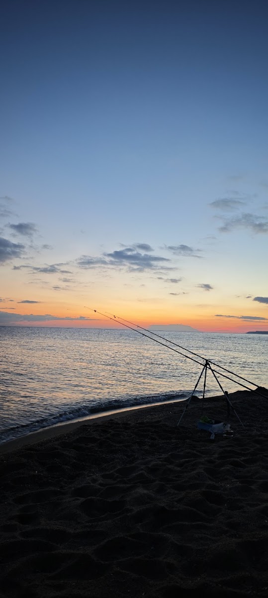 İtalyan Koyu — fotoğraf 2