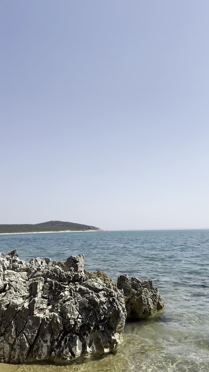 İtalyan Koyu — fotoğraf 3